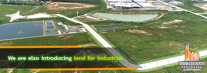 Land