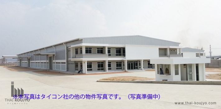 AMN1F0005 AMN1F0005