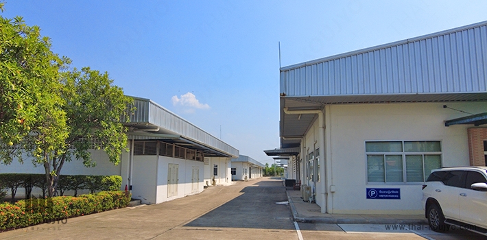 LPIEF0001